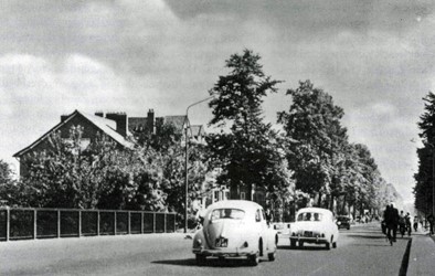 <p>Foto van de Deventerweg vanaf de Canadezenbrug uit 1955 (Regionaal Archief Zutphen). </p>
